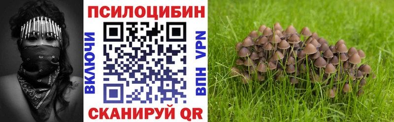 дарнет шоп  МЕГА как зайти  Галлюциногенные грибы MAGIC MUSHROOMS  Тырныауз 